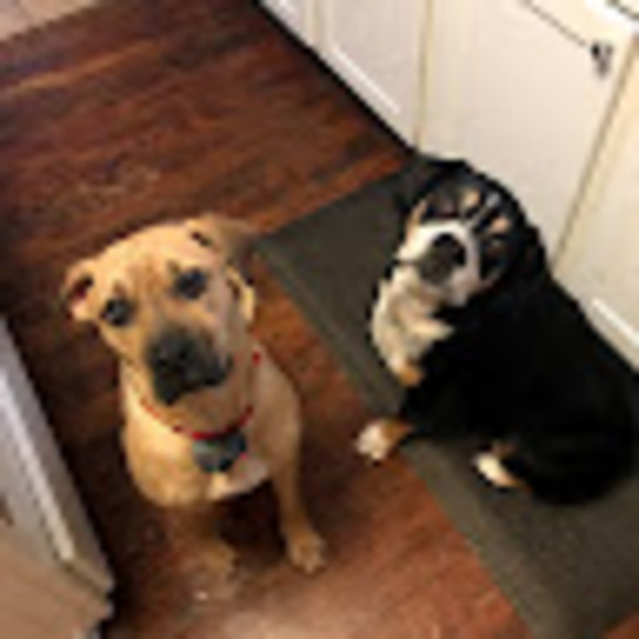 Meet your Posher, Mary - Picture 1 of 1